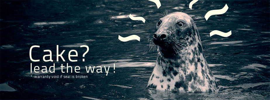 手机号外呼系统